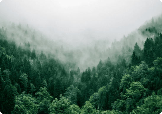 Wood is the only building material that comes from renewable resources